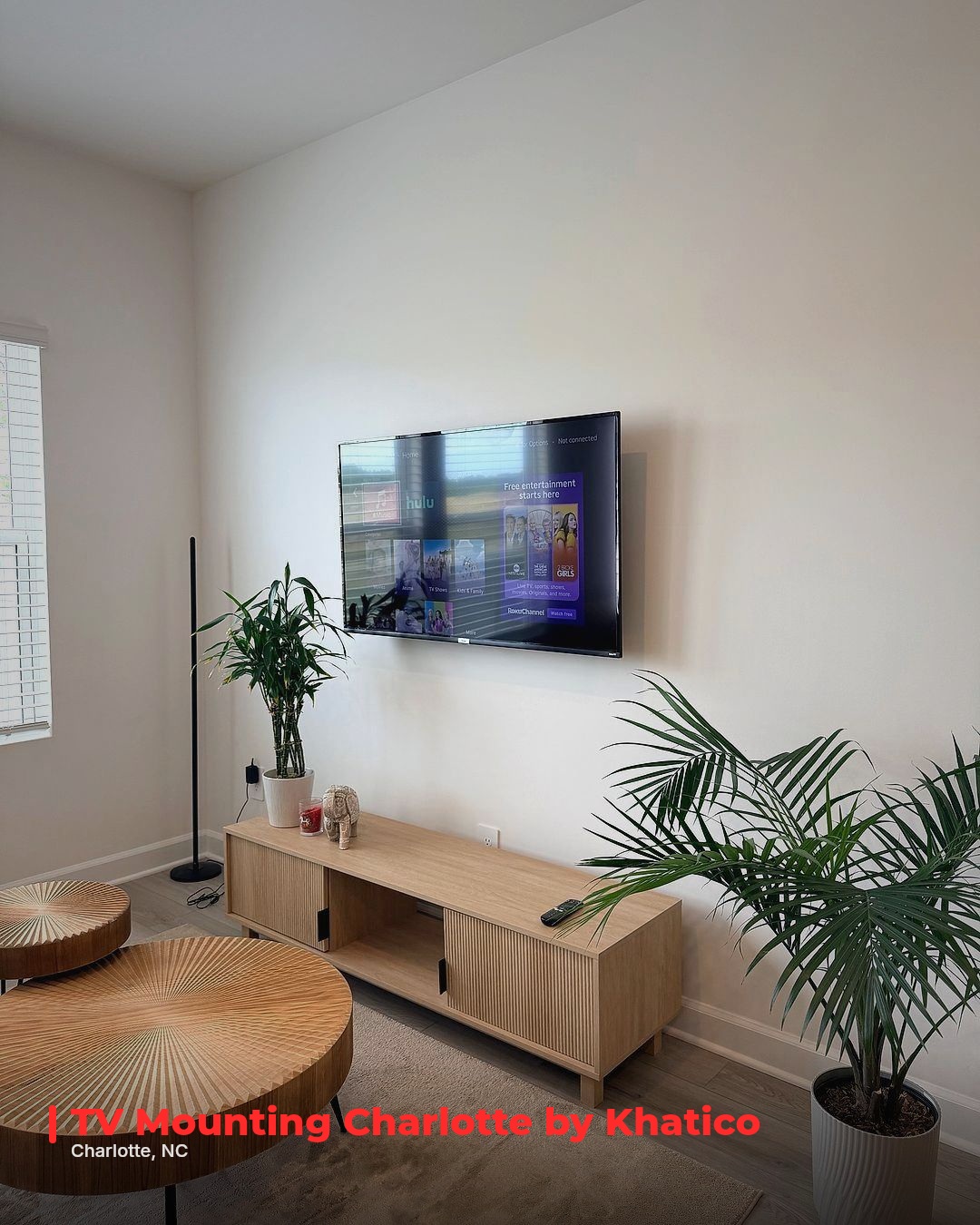 TV Mounting Service in Charlotte, NC